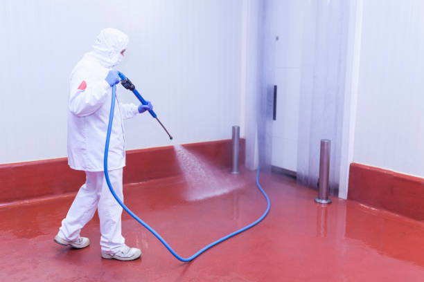 Best Pre-Holiday Cleaning  in Winnsboro, TX